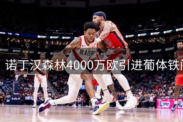 诺丁汉森林4000万欧引进葡体铁闸迪奥曼德